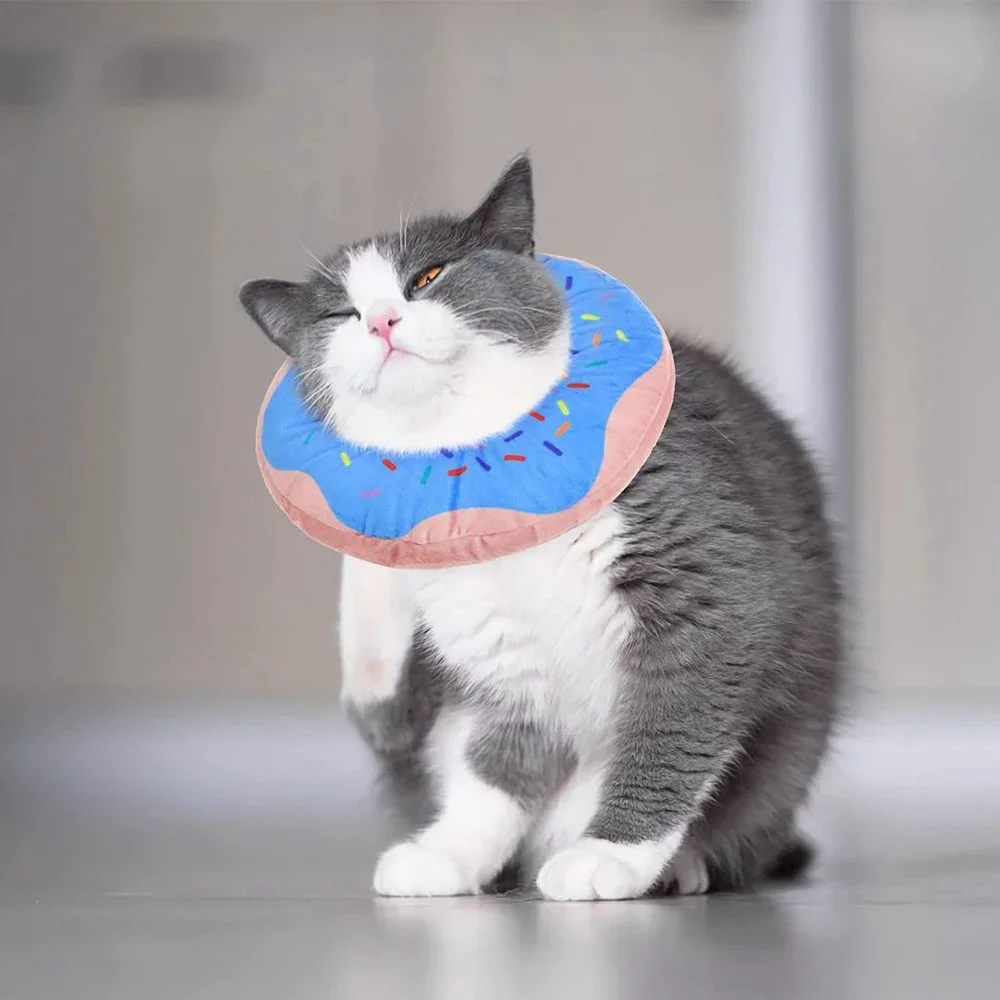 Dog or Cat Recovery Collar Soft, Cute Donut Cone Wound Healing Protective Cone